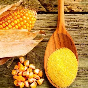 Maize Meal Quality Proficiency Testing Scheme